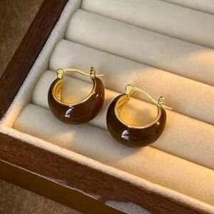 Brown Enamel Hoop Earrings